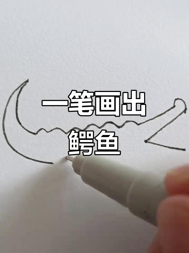 轻松学画鳄鱼,简单步骤教你画出可爱大动物