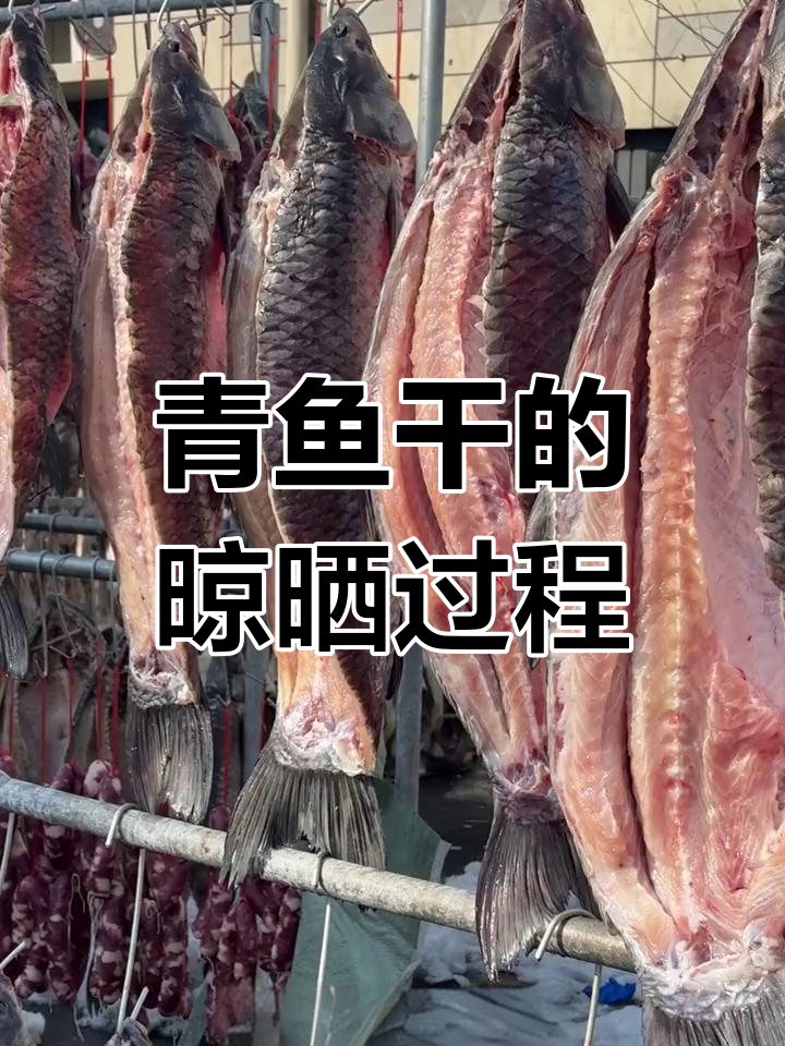 青鱼干制作全过程,晒制工艺揭秘
