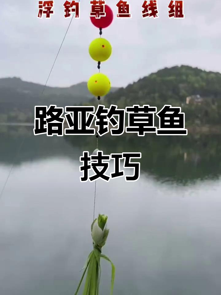 草鱼也能轻松钓，路亚装备全解析