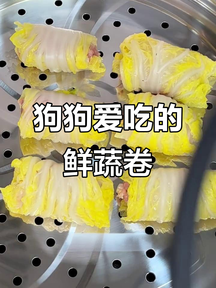 用白菜包裹鸭肉,简单蒸一蒸,狗狗爱吃蔬菜!