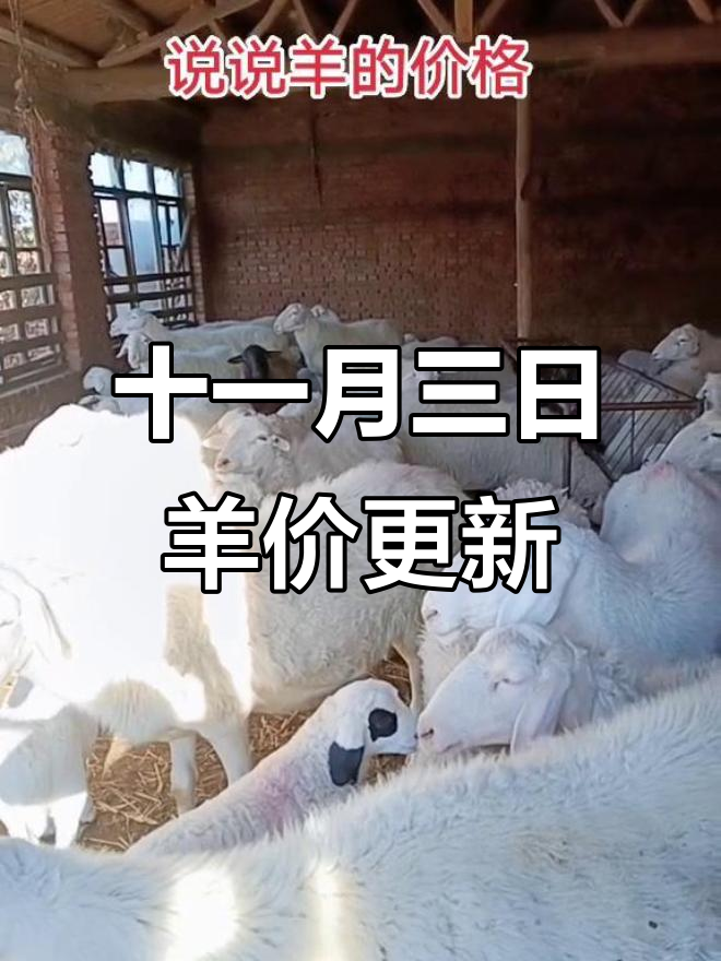 最新羊价大揭秘!内蒙古到辽宁各地价格一览