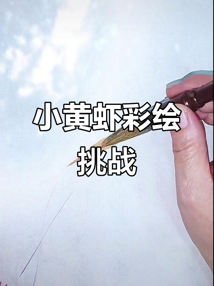 一起画黄金甲小黄虾，彩虾大作战！