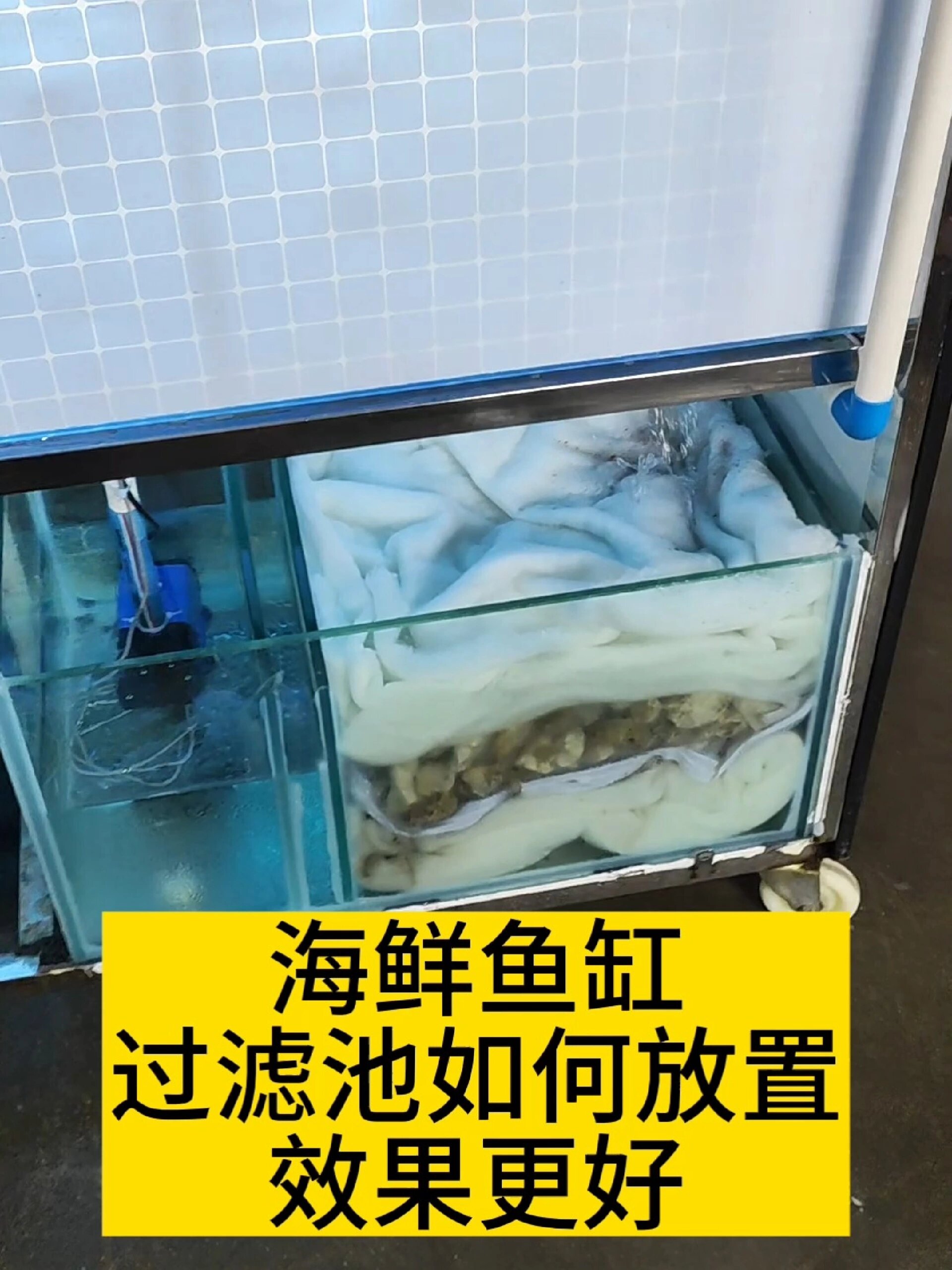 移动海鲜鱼缸过滤池放置过滤材料的教程
