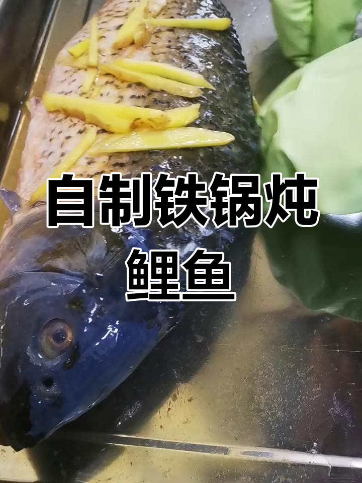 铁锅炖鲤鱼,酱料秘方大公开