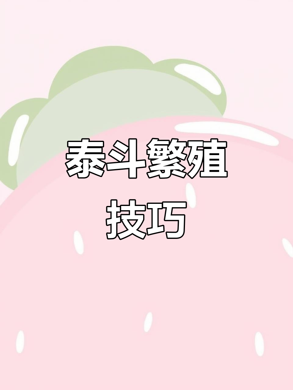 泰国斗鱼繁殖全攻略:从准备到成功孵化