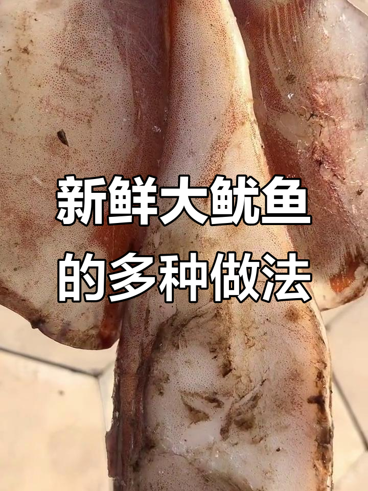 新鲜大鱿鱼,不泡发、无漂白,炒青椒蒜苗红烧辣炒铁板