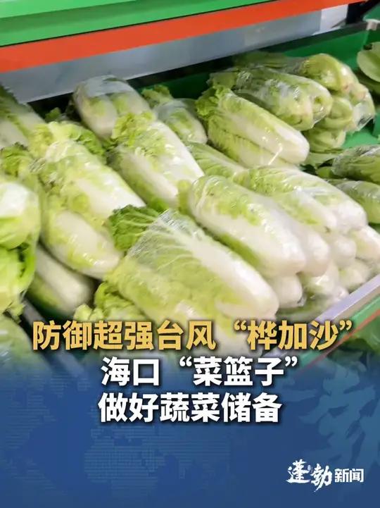 防御超强台风“桦加沙”,“菜篮子”集团做好蔬菜调度储备,在库4300余吨 在途约500吨