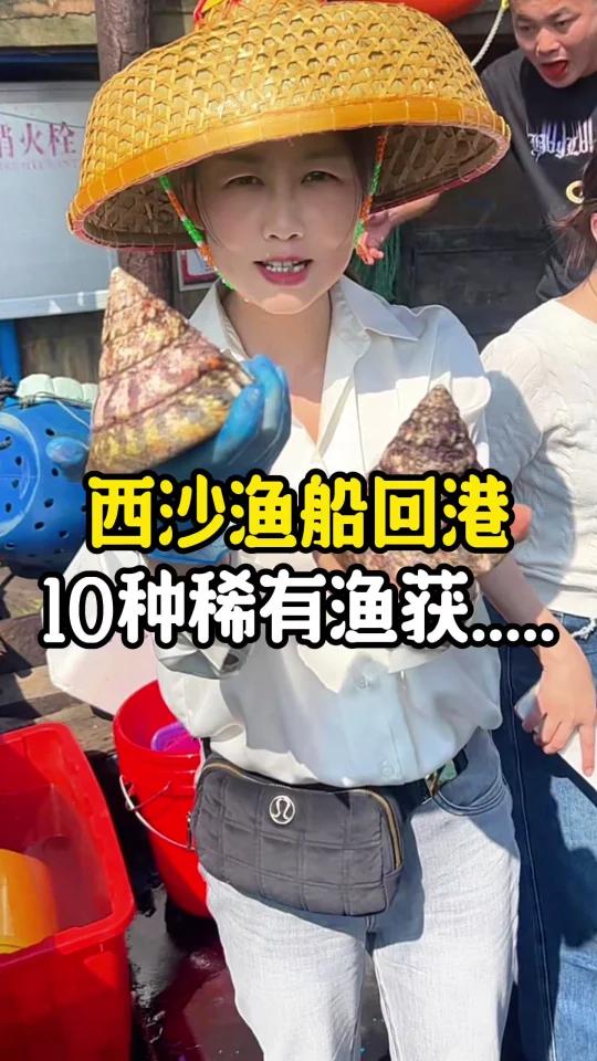 我去!美丽富饶的西沙群岛海鲜见也没见过