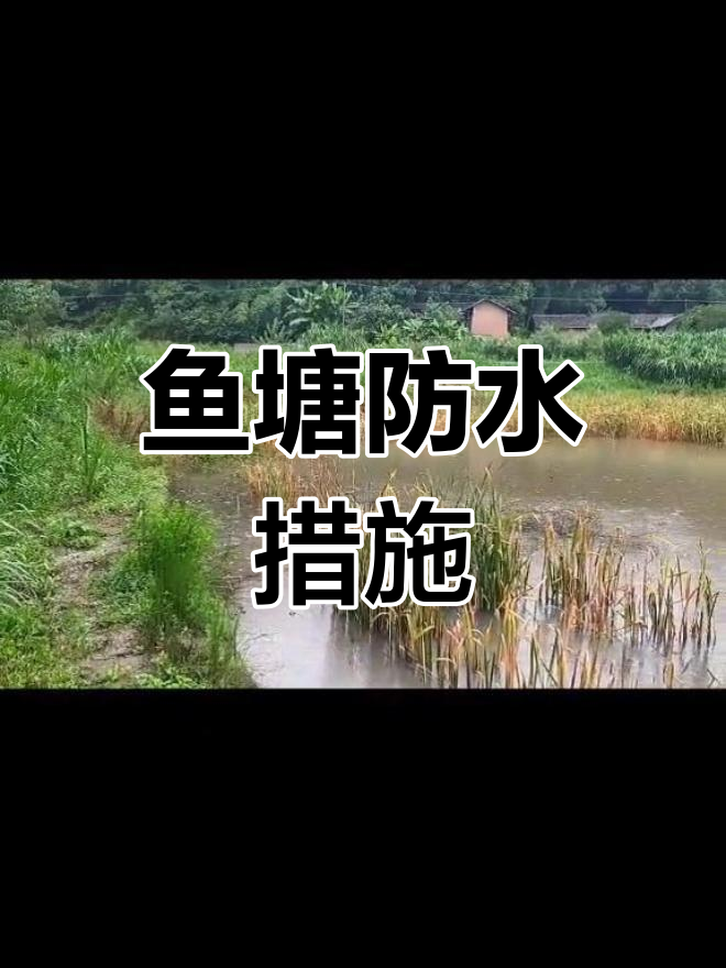 鱼塘防洪排水设计全攻略
