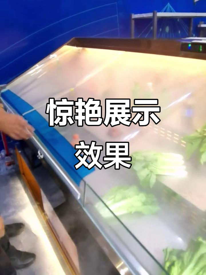 菜品展示柜效果惊人,客户见了定会惊叹不已!