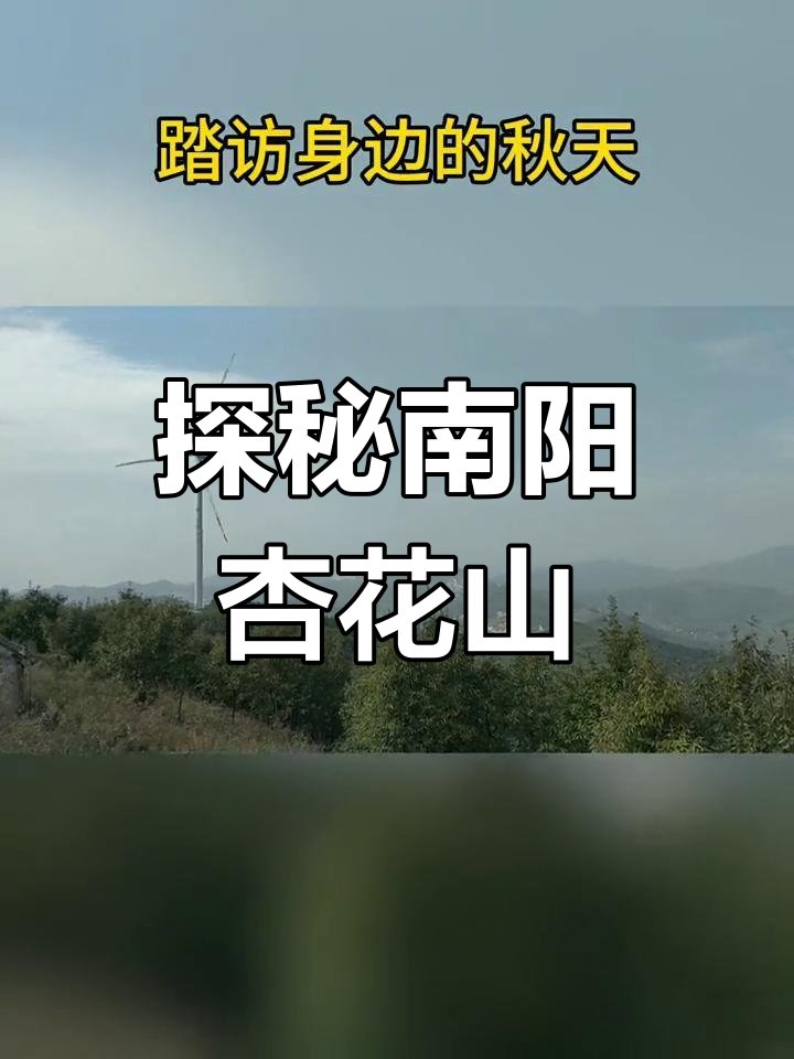 南阳杏花山:千年古树与菩提寺的秋日之旅
