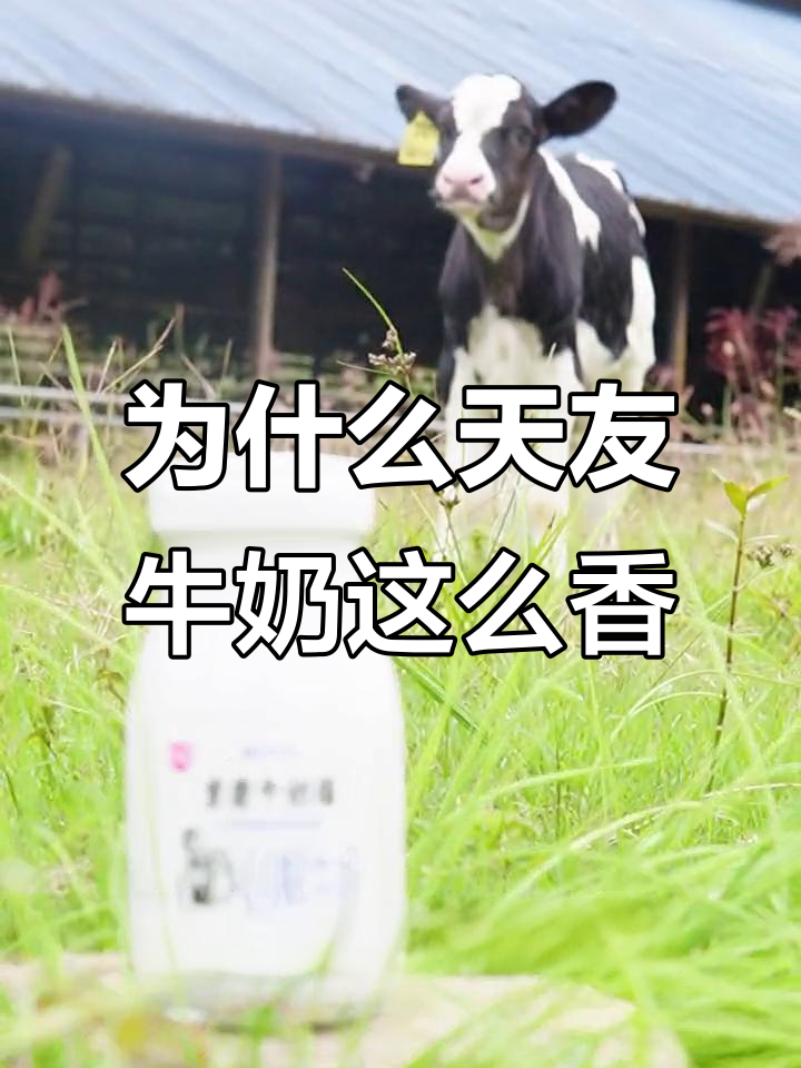 天友4.0高蛋白鲜奶为何如此香浓？源自天然牧场，无腥味！