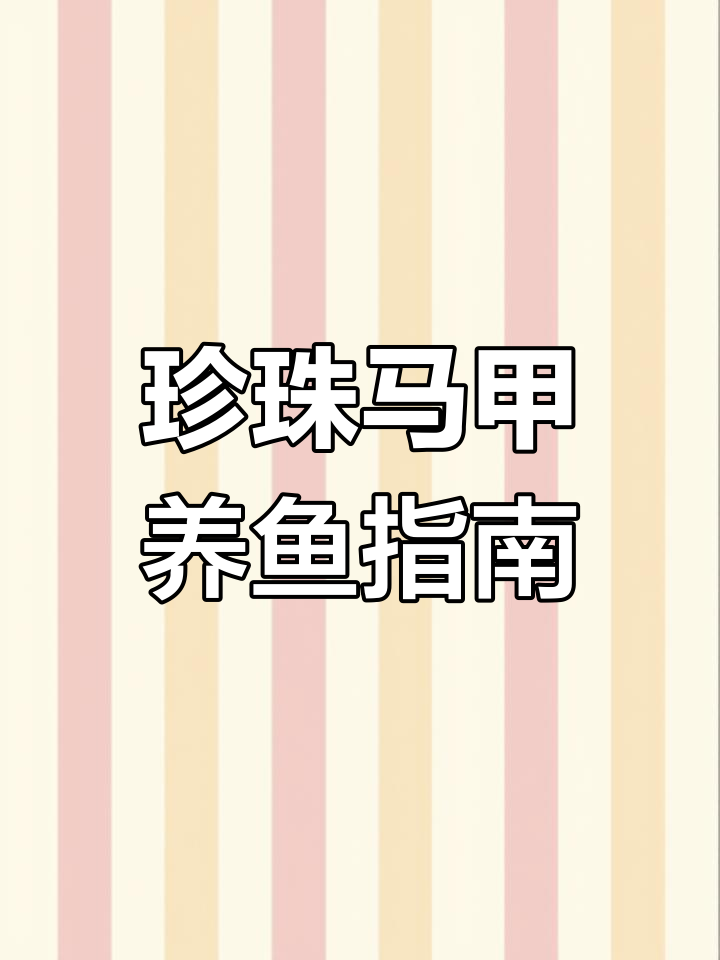 珍珠马甲:独特淡水观赏鱼推荐