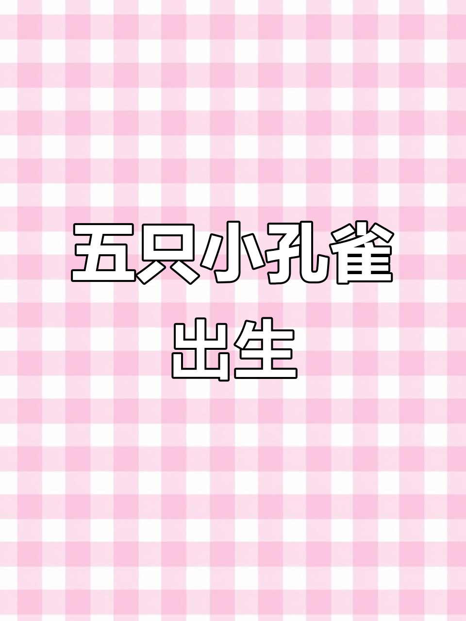 孔雀鱼生产惊现五条小鱼,母鱼肚子瘪了竟有黑线