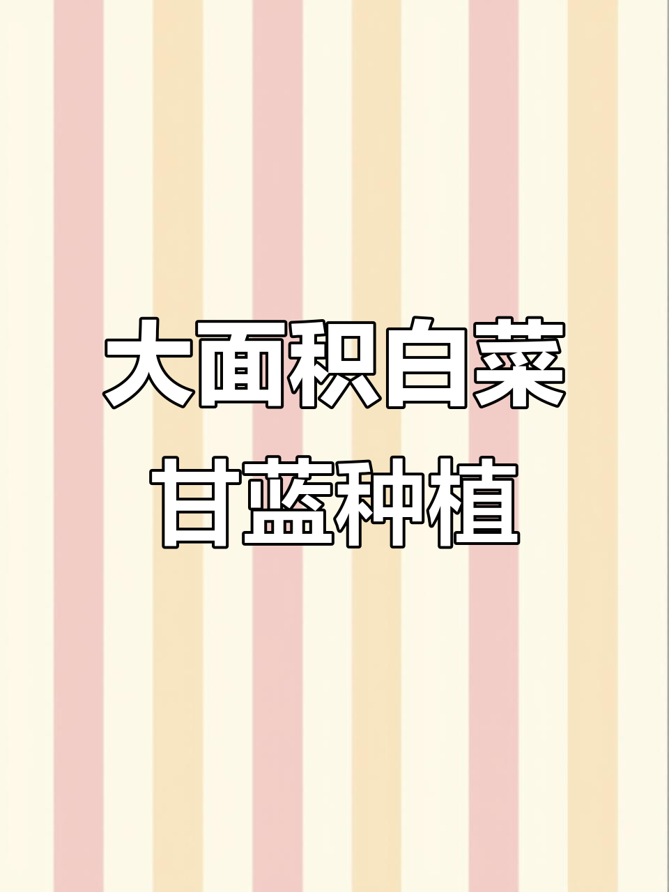 走进蔬菜基地,感受大自然的馈赠与纯天然的绿色美味