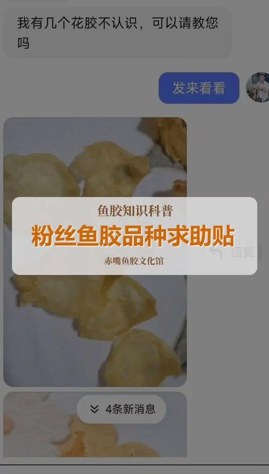 粉丝鱼胶品种求助贴