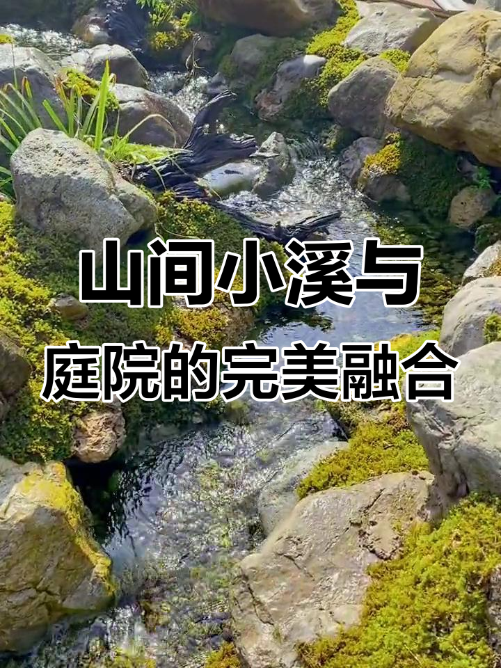 溪流与鱼池的和谐共生,打造自然生态庭院