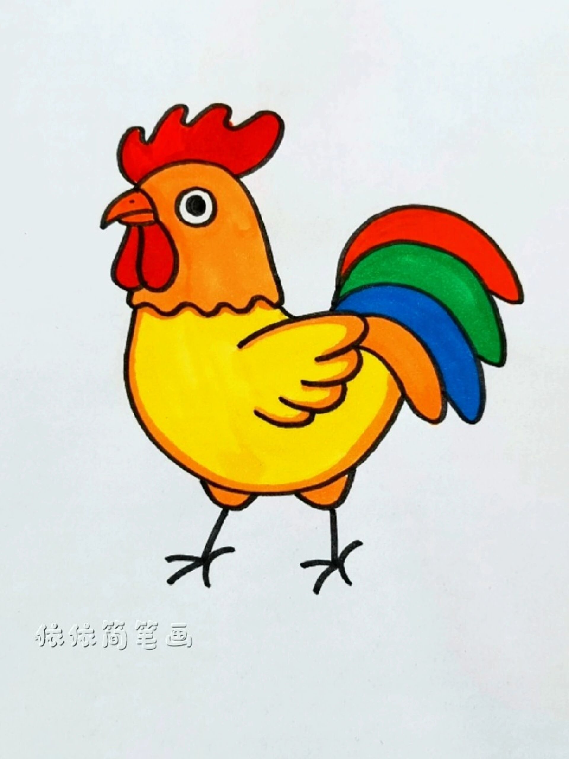 跟我一起来画漂亮大公鸡