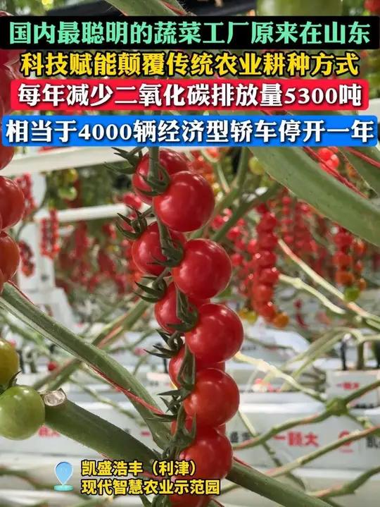 原来,国内最聪明的蔬菜工厂在山东东营!5月28日,“改革立潮头 实干挑大梁”大众报业集团驻