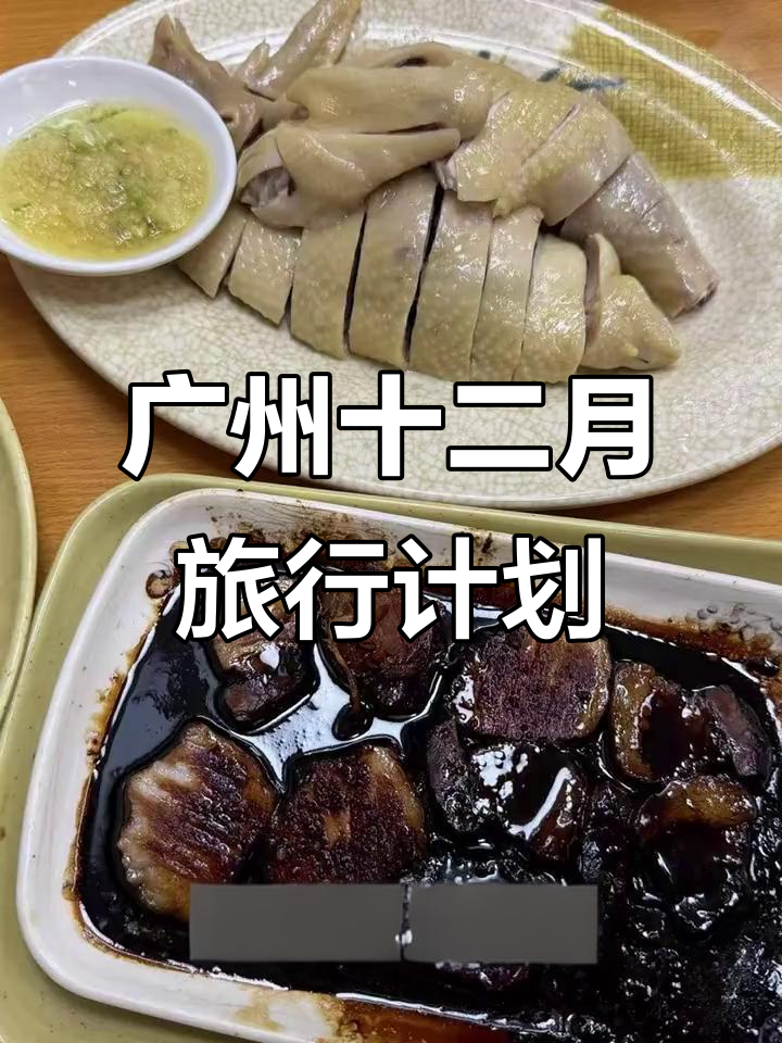12月广州旅游攻略,长隆野生动物园与炳胜品味不可错过
