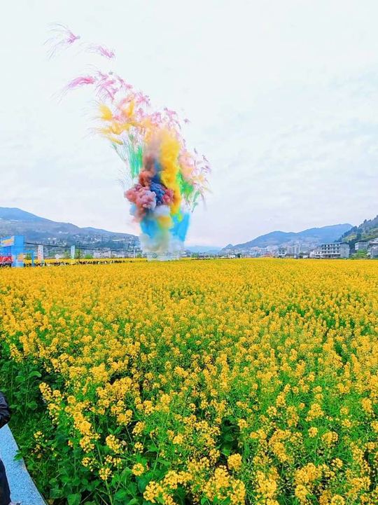 油菜花节开幕了