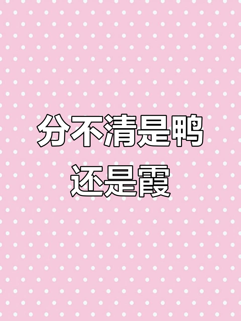 麻花鸭与五彩霞的奇妙追逐,分不清谁是主角