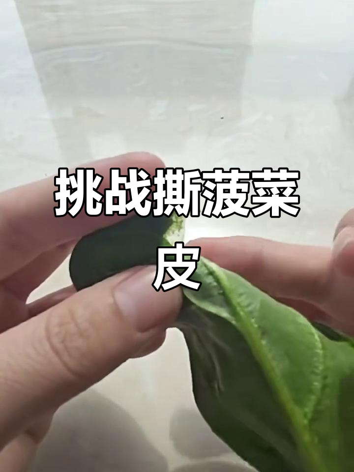 如何轻松撕取菠菜下表皮,技巧大公开!