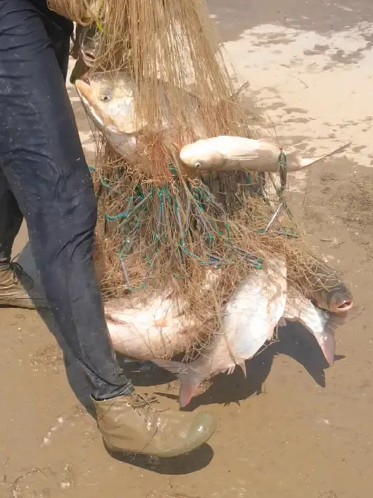 户外撒网捕鱼精彩视频,让人激动不已!