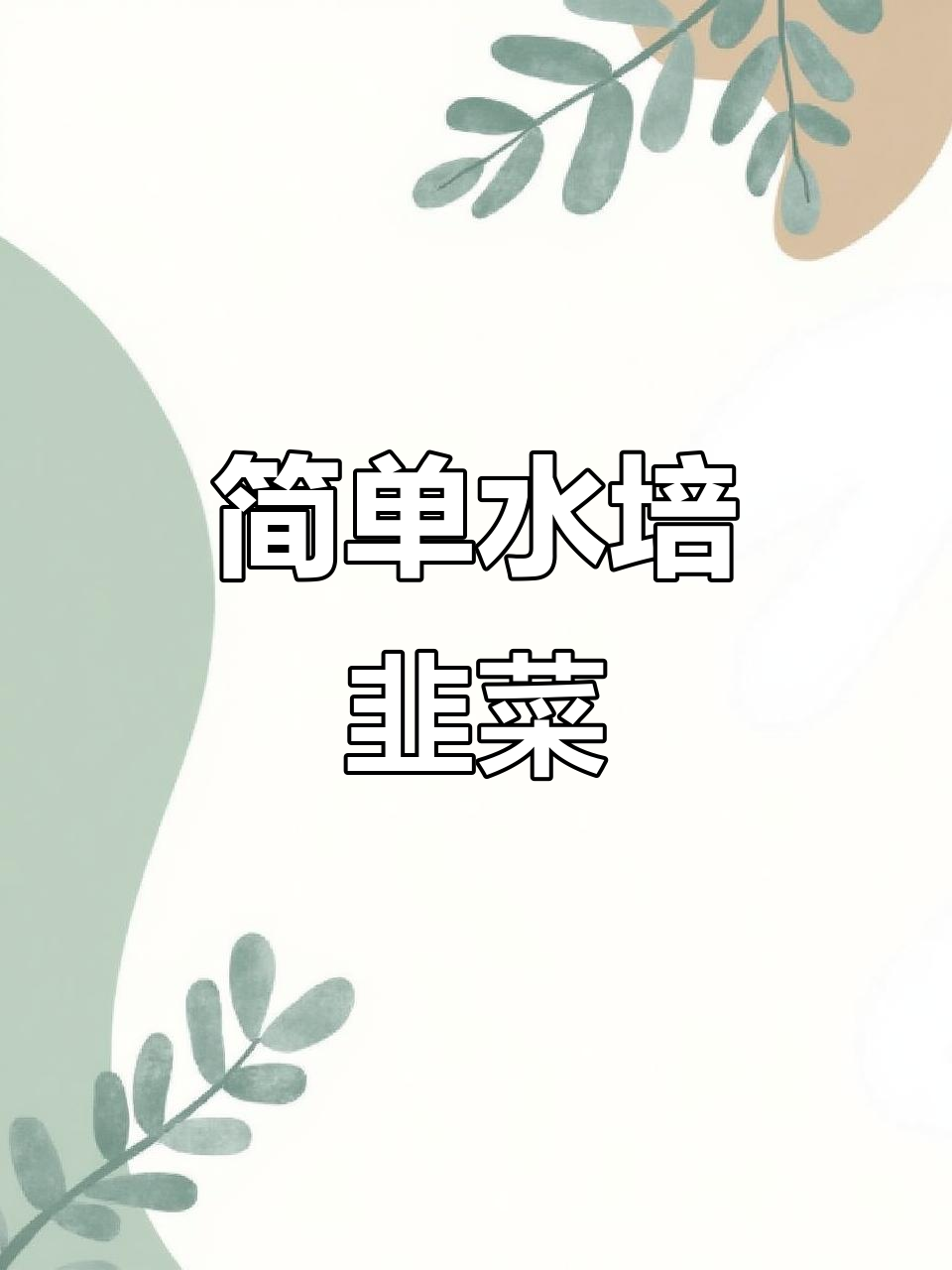水培韭菜根，轻松种出美味鲜嫩的韭菜