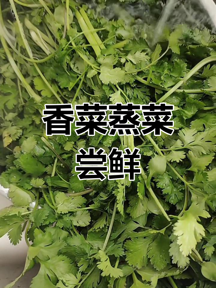 香菜蒸菜新做法,简单又美味!
