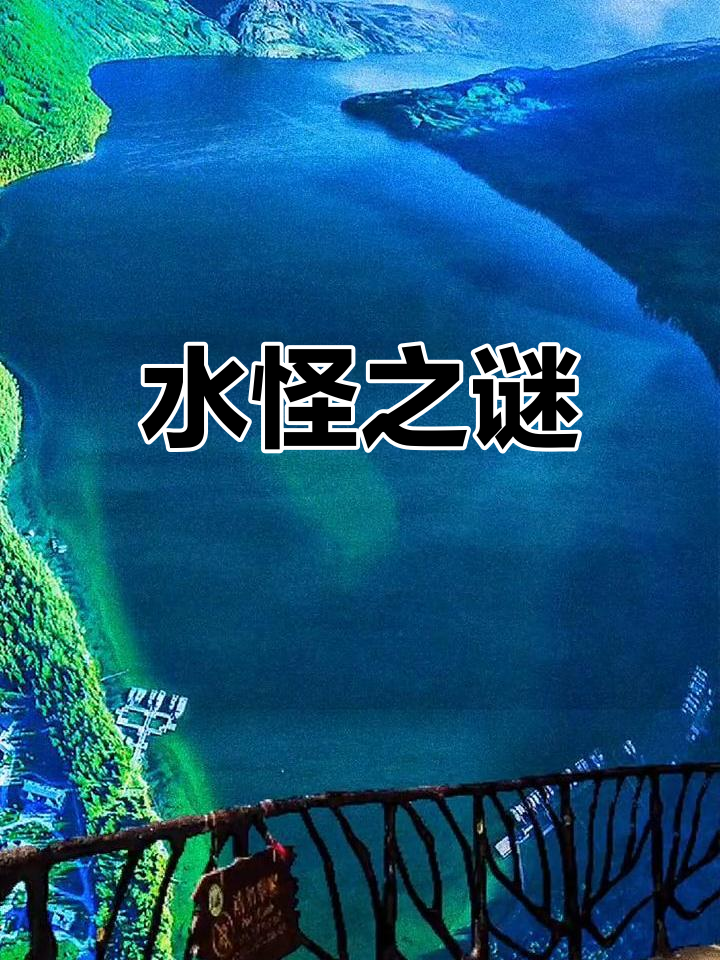 喀纳斯湖神秘大红鱼揭秘
