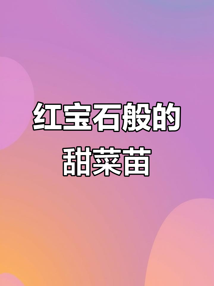 紫红叶甜菜苗,阳台种植轻松上手,20天摘嫩叶炒食超美味