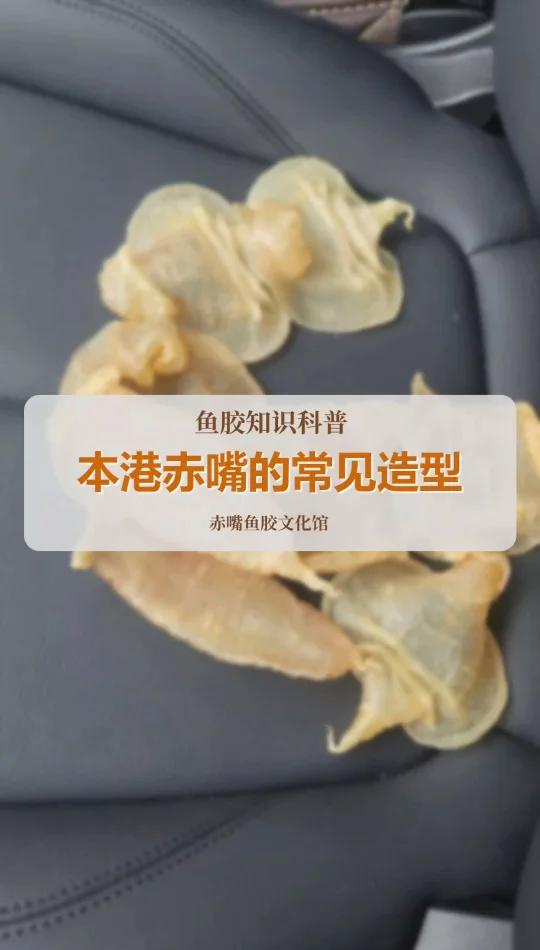 本港赤嘴的常见造型对比