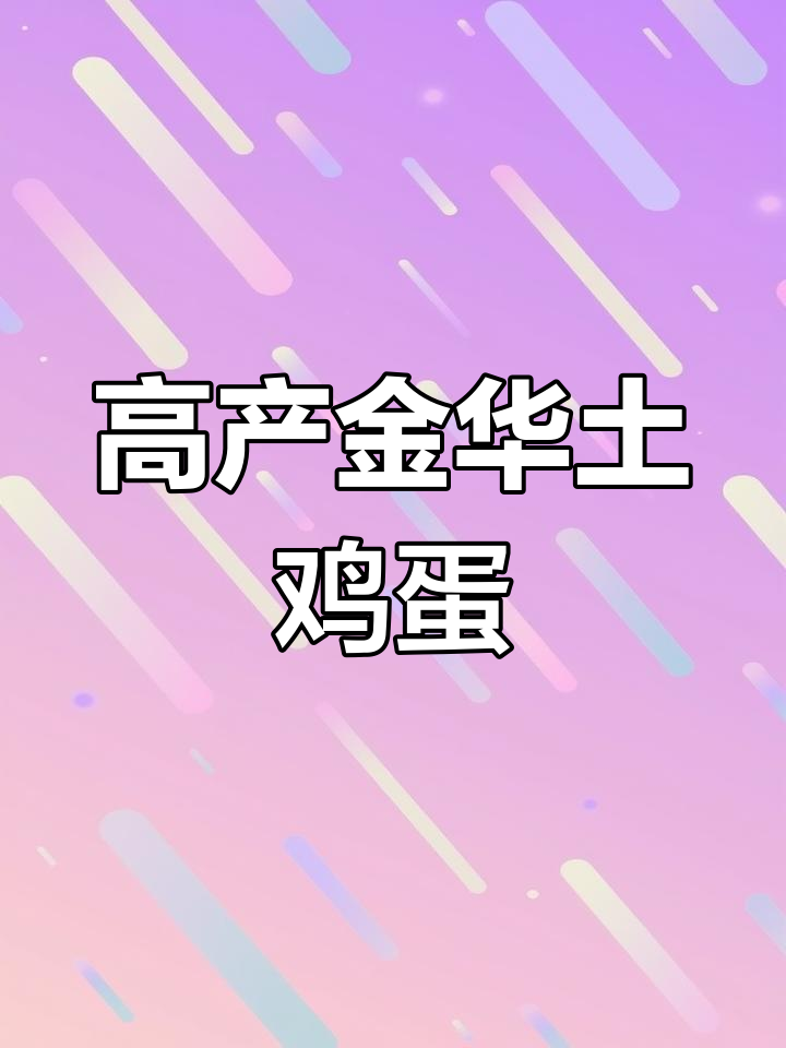 金华土鸡高产秘诀,蛋多又健康