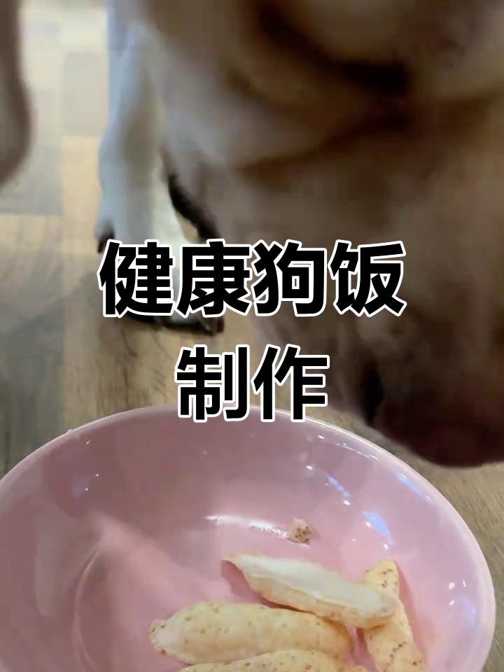 10分钟自制狗狗健康餐:虾条火锅