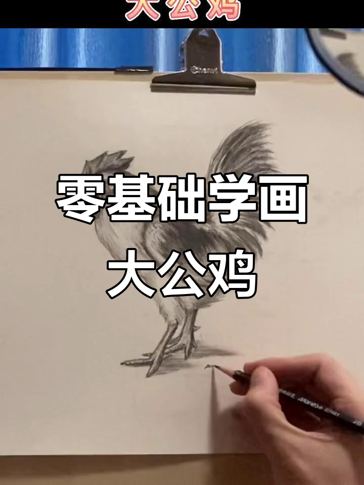 从零基础到素描大公鸡，一步步教你轻松上手