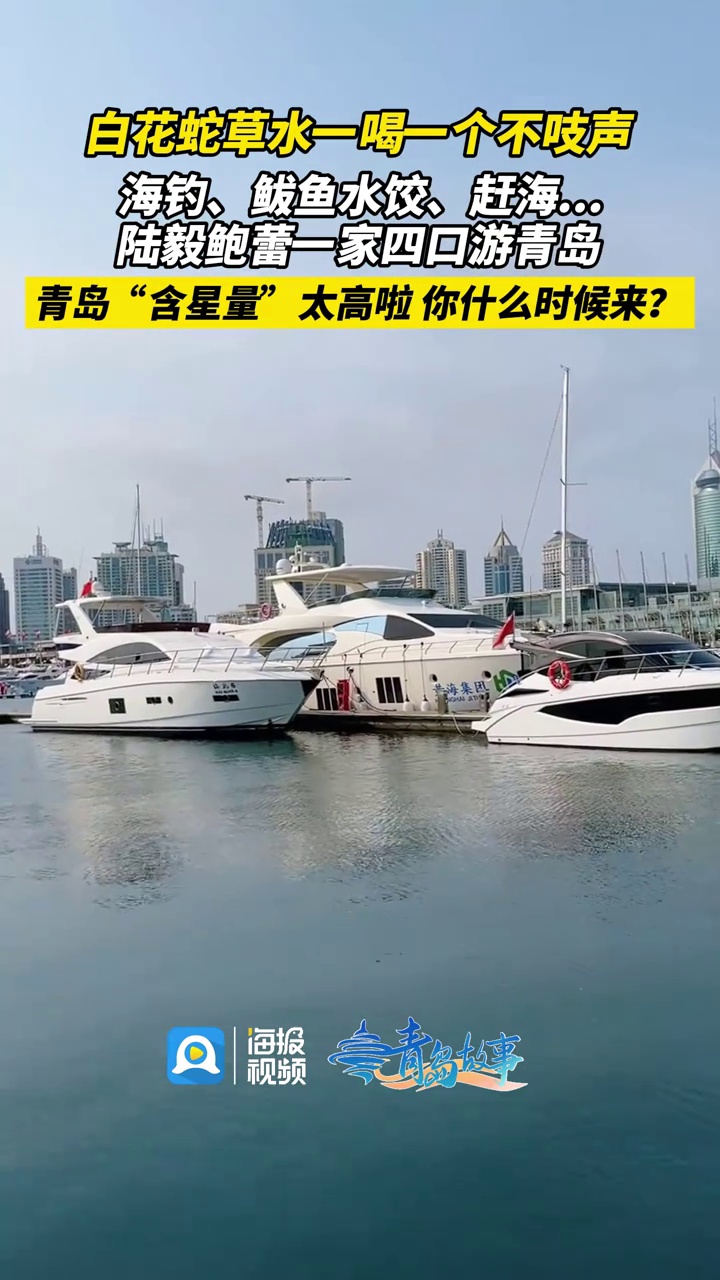 白花蛇草水一喝一个不吱声,海钓、鲅鱼水饺、赶海……陆毅鲍蕾一家四口游青岛,青岛“含星量”太