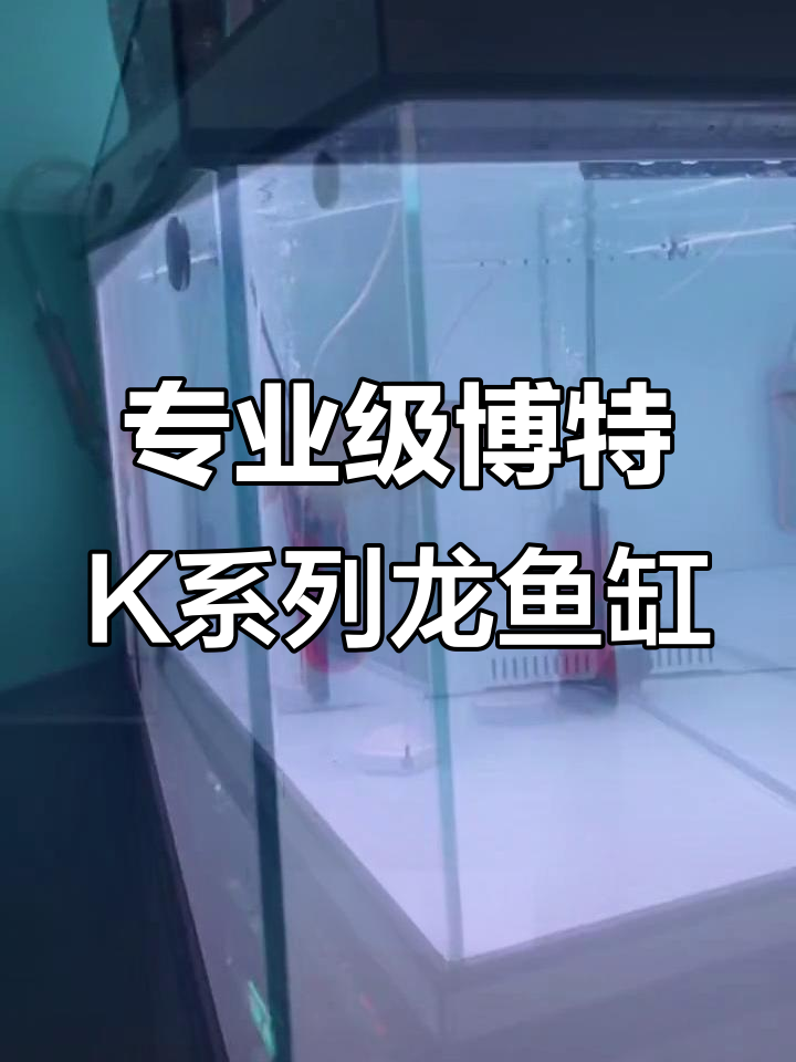 博特K系列屏风龙鱼缸,专业设计打造极致观赏体验