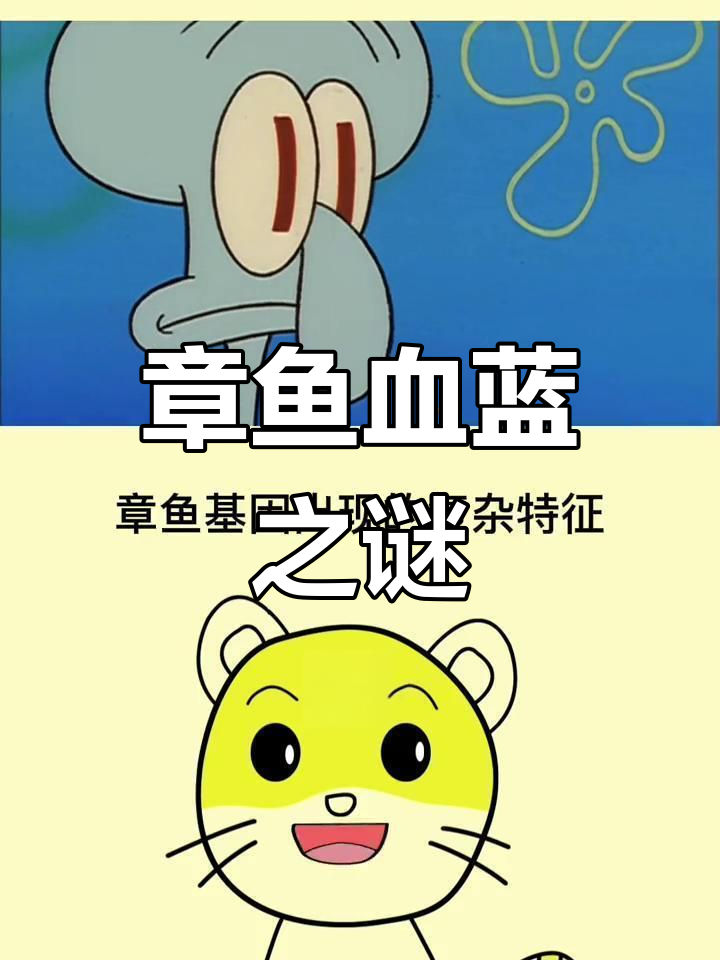 章鱼血液为何是蓝色?科学家怀疑外星起源