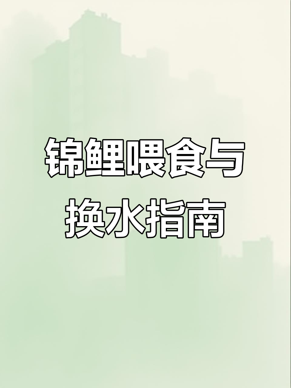 锦鲤鱼缸换水频率与喂食技巧大揭秘