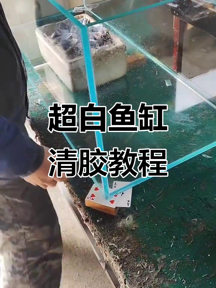 鱼缸制作技巧:如何清理胶痕,打造完美外角