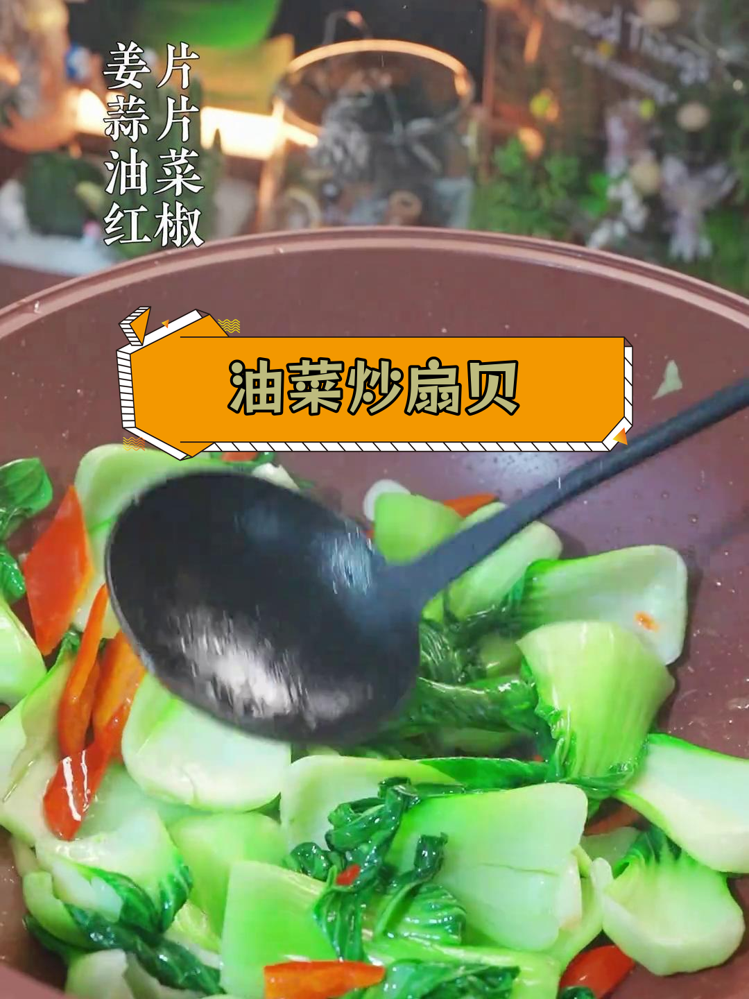 油菜与扇贝的完美搭配,清甜可口