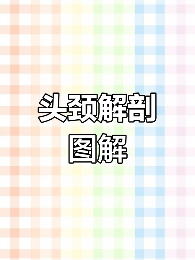 了解头颈肌肉结构,掌握身体运动基础