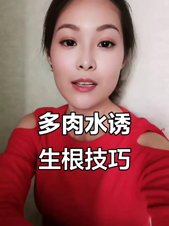 水诱生根法，让多肉植物快速扎根发芽