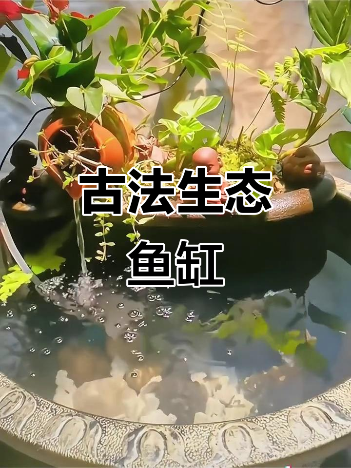 古法陶瓷鱼缸，循环水增氧，庭院阳台造景必备