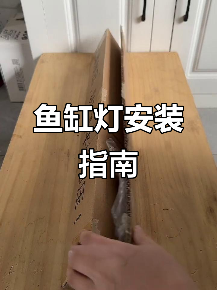 鱼缸灯安装与防水技巧,欧利斯全光谱灯光体验