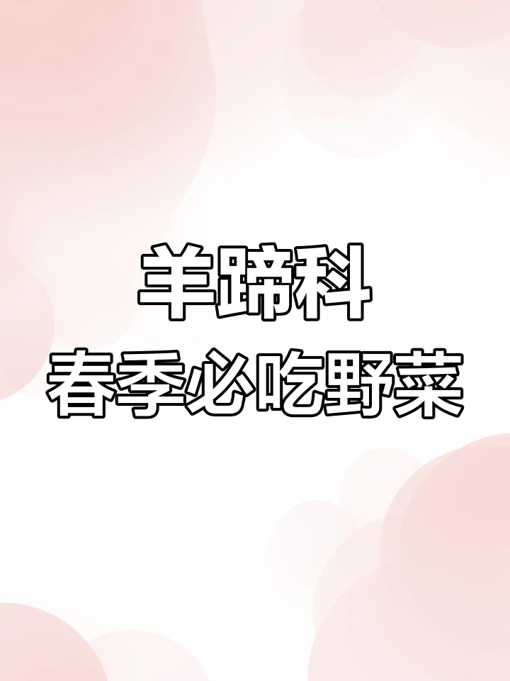 羊蹄棵:春季美味野菜,蒸煮做馅皆宜