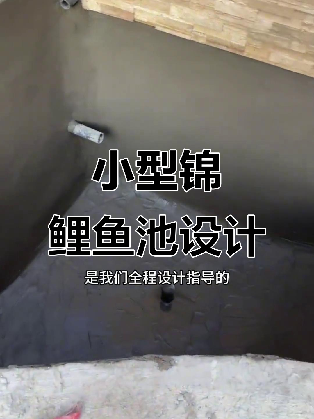 鱼池设计与施工全流程,打造异形锦鲤水体环境