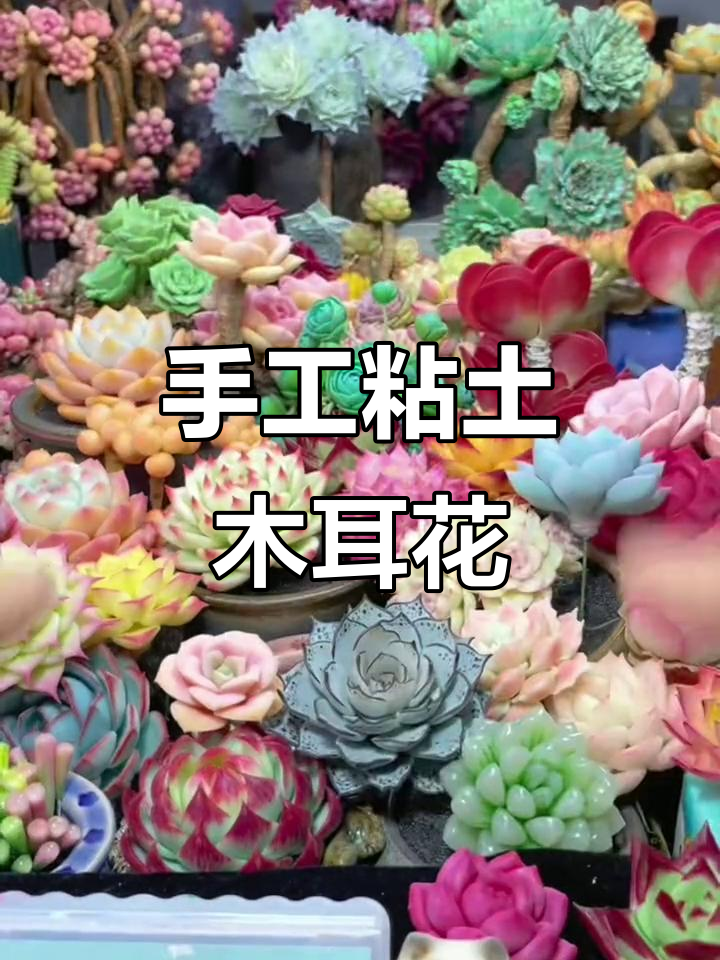 小小粘土花园,海豚带你一起DIY多肉植物