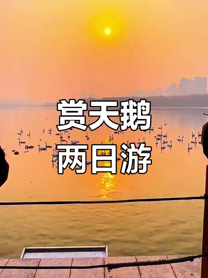 三门峡天鹅湖自驾游,探秘陕州地坑院与大坝